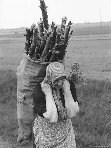 Old Polish Peasant Woman Carrying Large Bundle of Firewood' Photographic  Print - Paul Schutzer | AllPosters.com | People of the world, Photography,  Photo