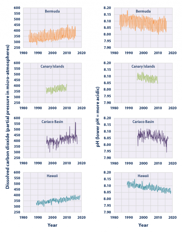 Line graphs showing levels of dissolved carbon dioxide and pH measurements at four ocean stations from 1983 to 2018.