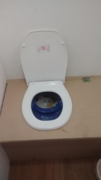 seperate toilet.jpg