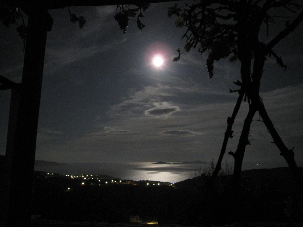 autumn moonrise on our balcony.jpg