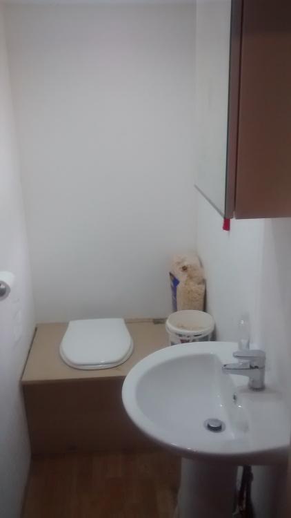 toilet.jpg