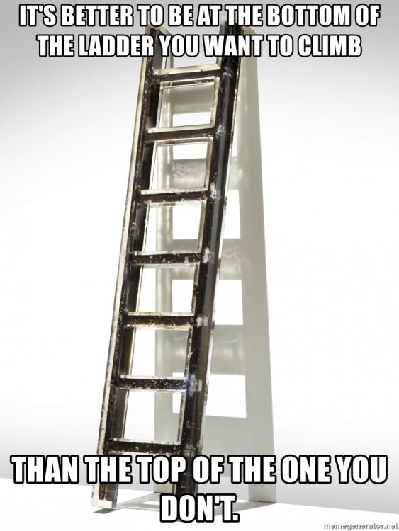 its-better-to-be-at-the-bottom-of-the-ladder-you-want-to-climb-than-the-top-of-the-one-you-dont.jpg