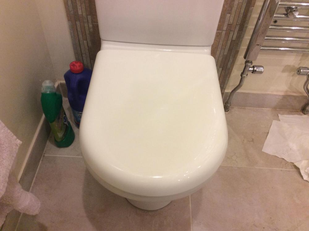 D shaped toilet seats. - General Plumbing - BuildHub.org.uk