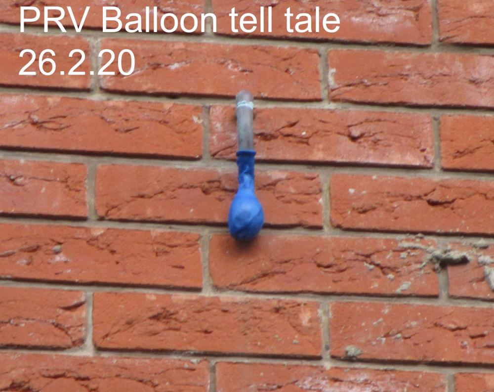 Balloon 26.2.20.jpg