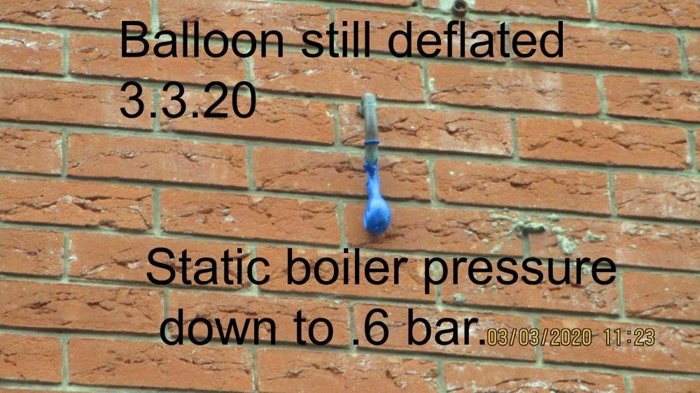 balloon 3.3.20.jpg