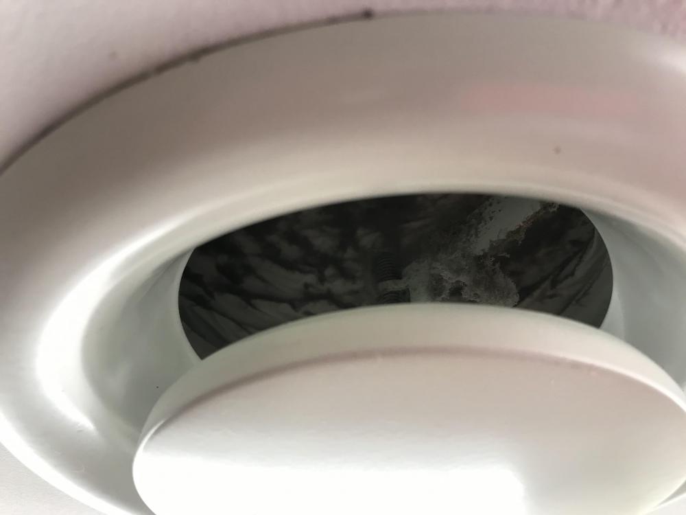 Clogged Ducts.jpg