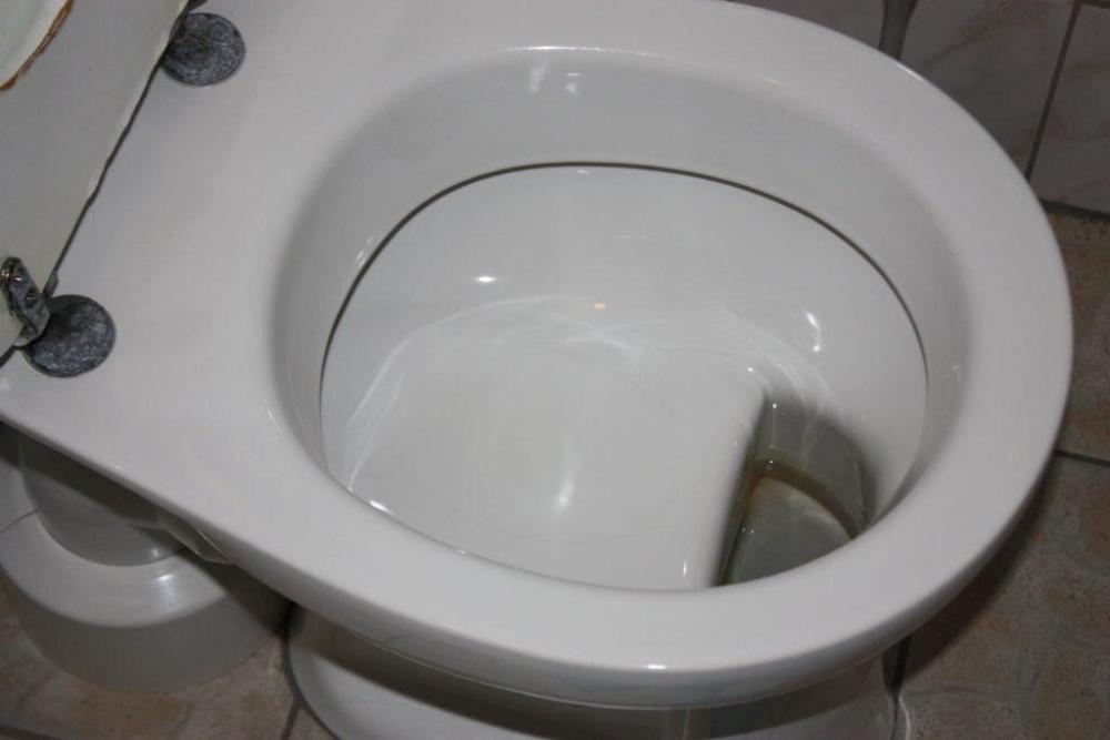 german-toilet-1024x683.thumb.jpeg.209a6cdaa9a89f434b408d58ade5f619.jpeg