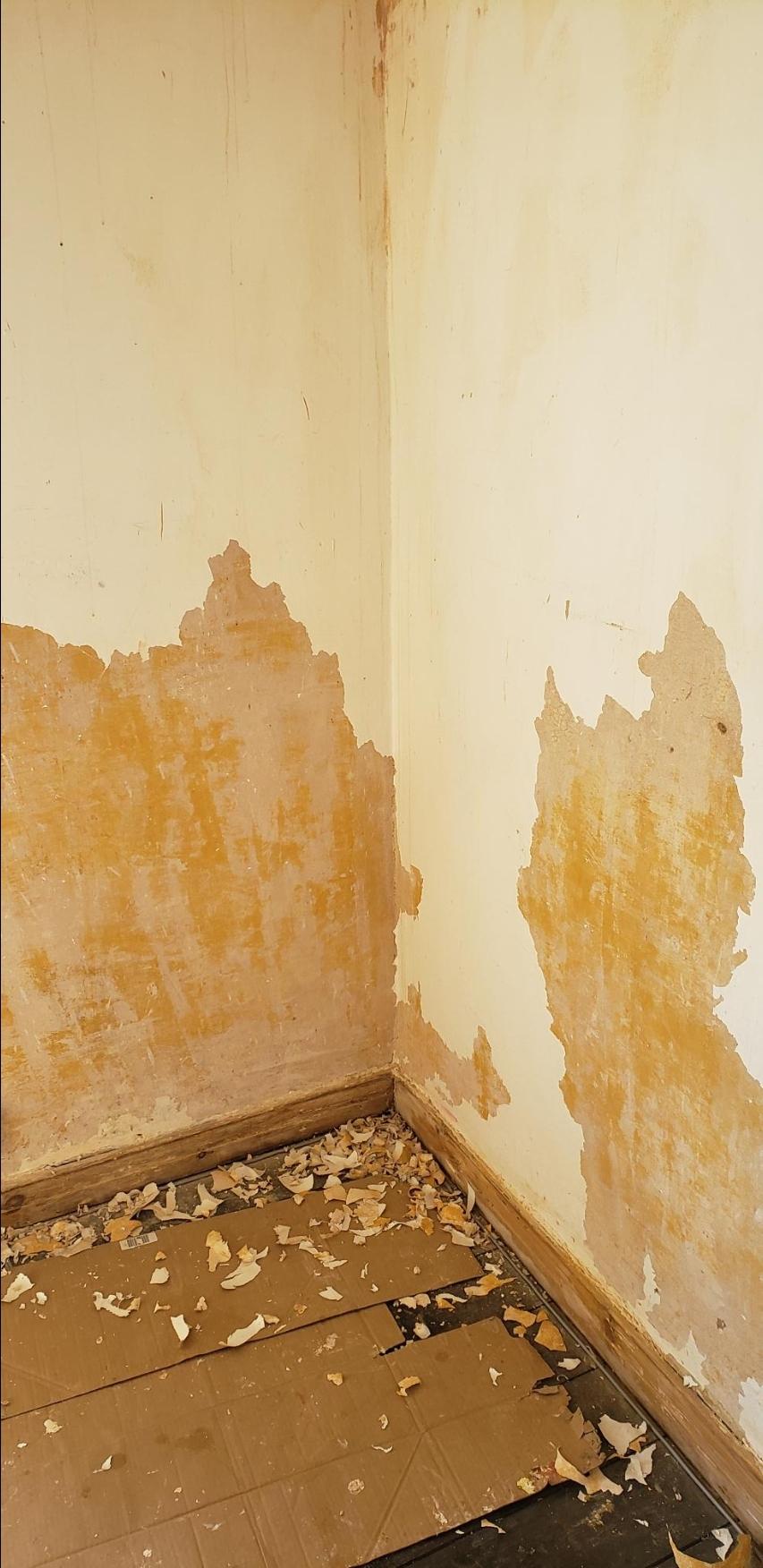 peeling paint - does it need sealing before lining paper/painting ...