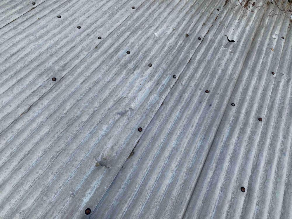 Shed Roof Holes - resized.jpg