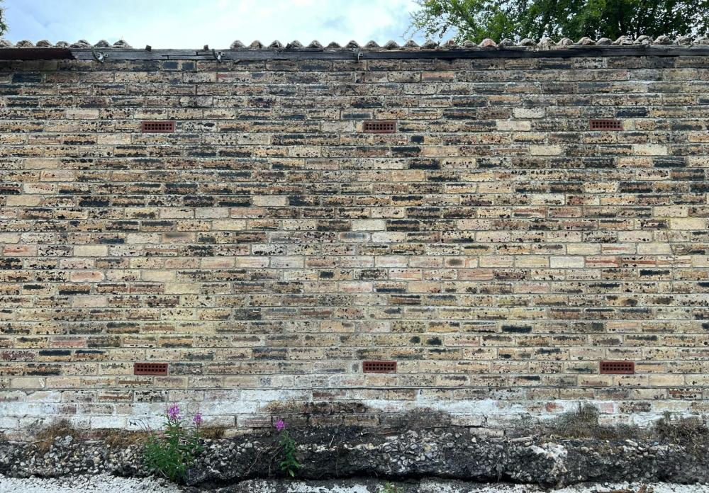 Rear wall.jpg