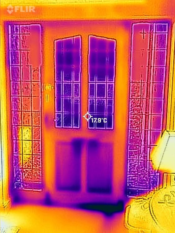 980857330_FLIR_20220211_090600(1).thumb.jpg.87048ddeb4391d2858932b72c737b508.jpg