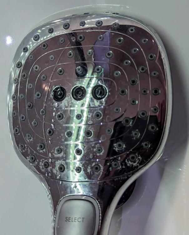 showerhead.thumb.jpg.1f6d159bbd8757ddcf4fadd79e3e6aea.jpg