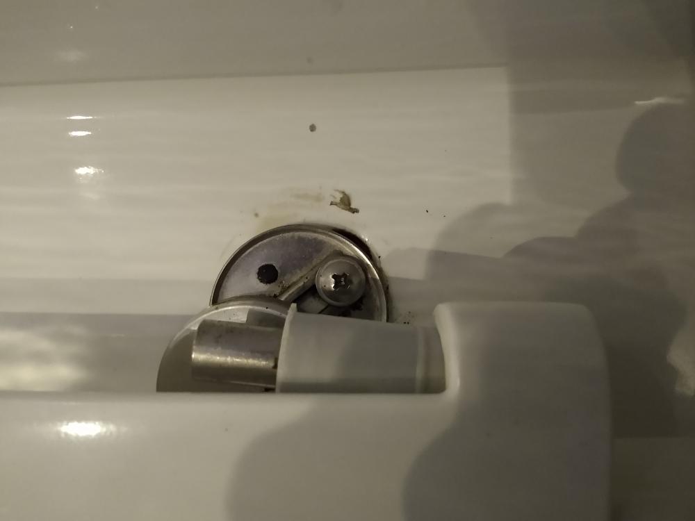 toilet screw.jpg