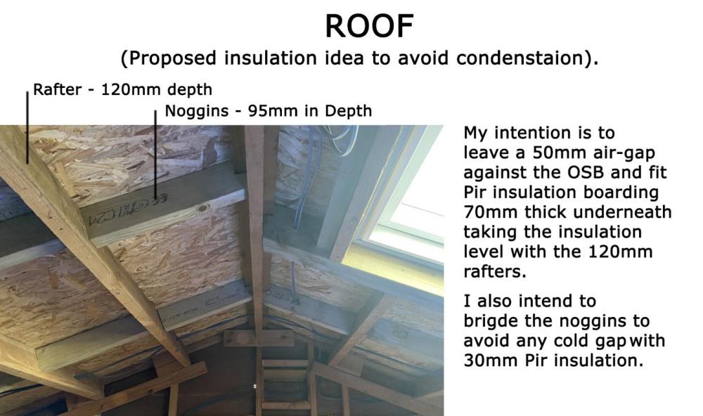 Roof 2.jpg