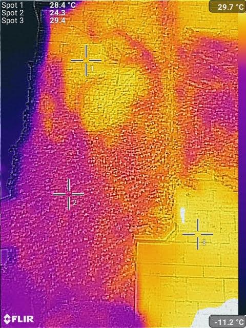 ThermalCamera2023-06-26_18-24-060100.jpg.f01715af7878bb9bcabff5555d80768a.jpg