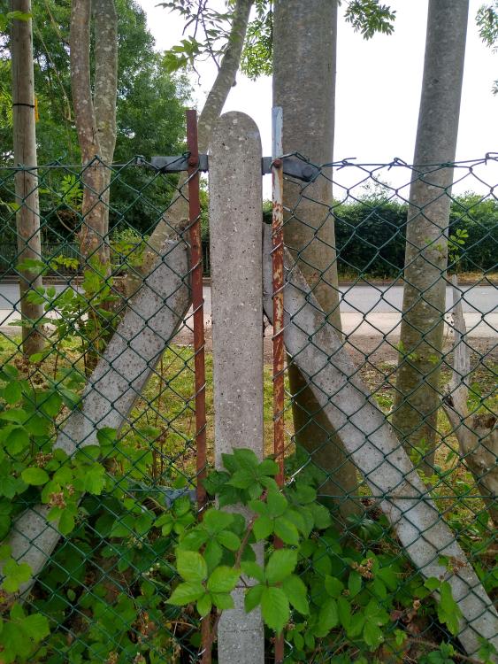 fence post 2.jpg