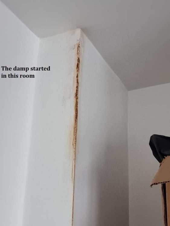 small room damp.jpg