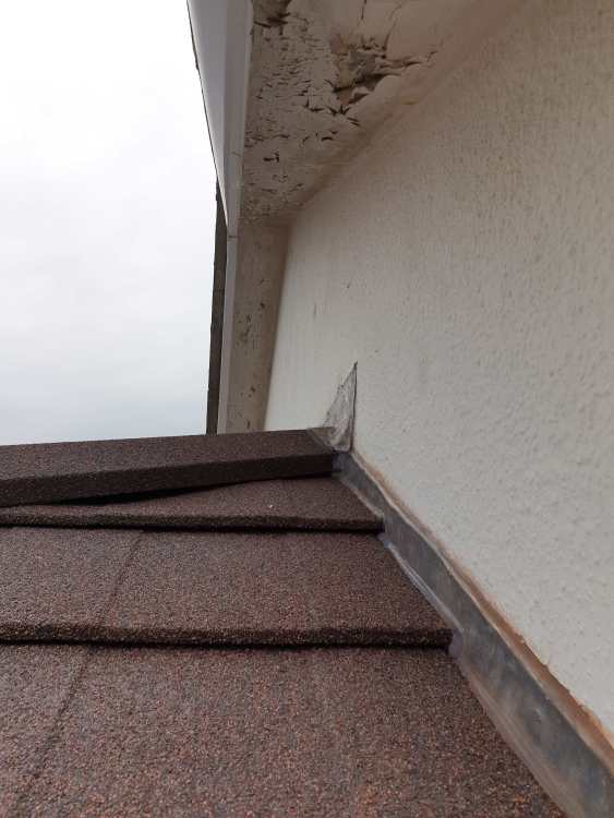 20250310_1009501.thumb.jpg.b95b0831dda16b342a9e5d3bdcd12874.jpg