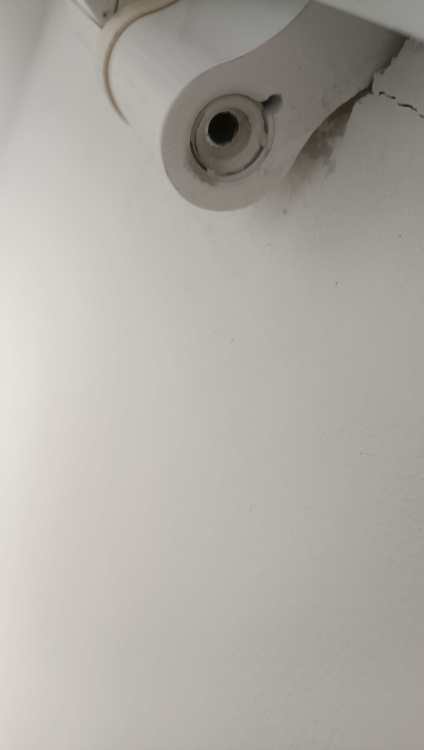 IMG_20250320_164236.thumb.jpg.267602957ab9c86d427b59311aeaae38.jpg