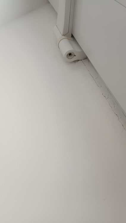 IMG_20250320_164249.thumb.jpg.d5dcb6685dbc2dd258c3936429041f28.jpg