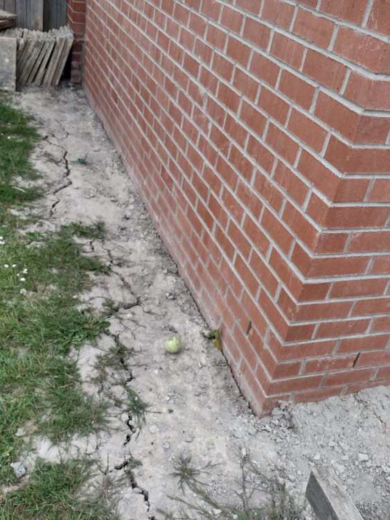 121_Tang_Hall_Lane_Extension.jpeg