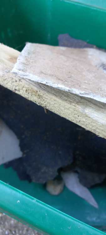 20250513_184041.jpg