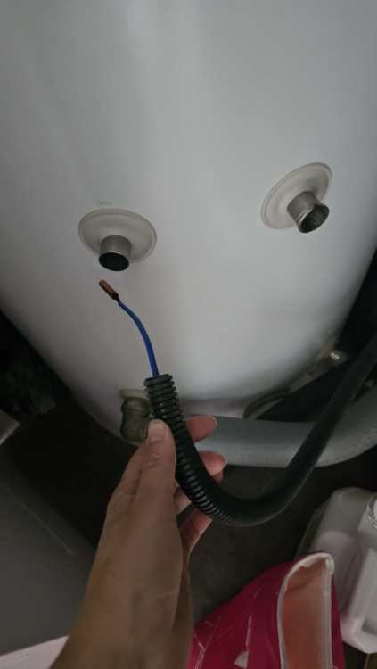 20250524_162717.thumb.jpg.c46b7fb54e413f5551e1a0c5cdccf21c.jpg