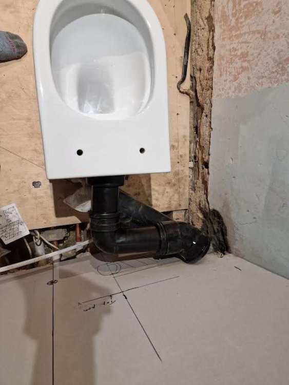 0.jpg