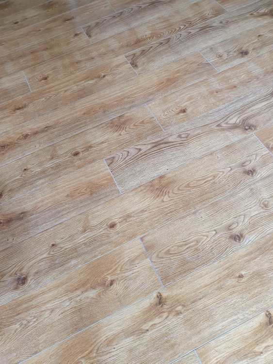 20250531_164242.jpg