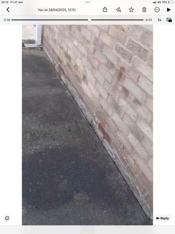 IMG_2998.thumb.png.3a0019cc569b34299377391174ed8884.png