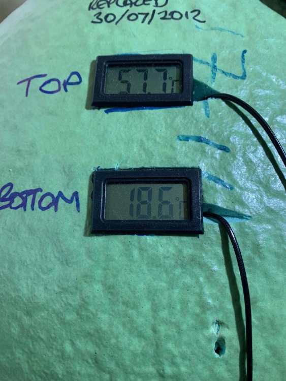 TankTemps.thumb.jpg.82a31749445dd72472c86af598defd06.jpg
