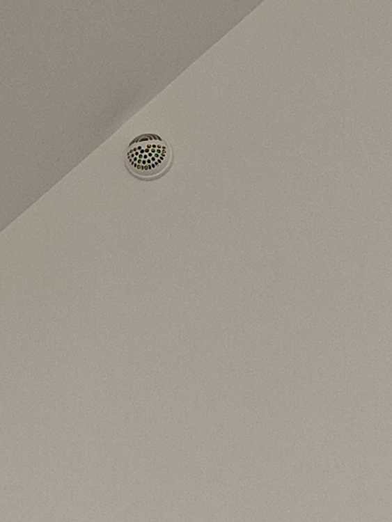 17516412093321383416625480180232.thumb.jpg.1f1c11cb6dfcf1dd6306d5effac2a08c.jpg