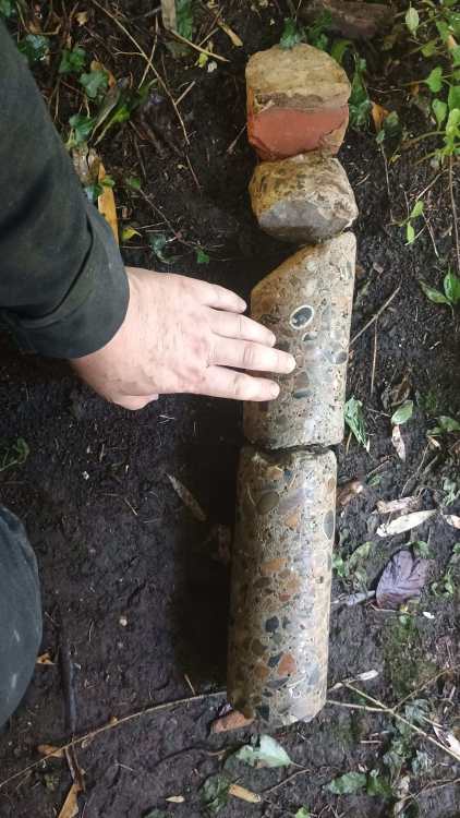 IMG-20250719-WA0022.thumb.jpeg.6dac0ce3b177690ad498ad0cc88558ba.jpeg