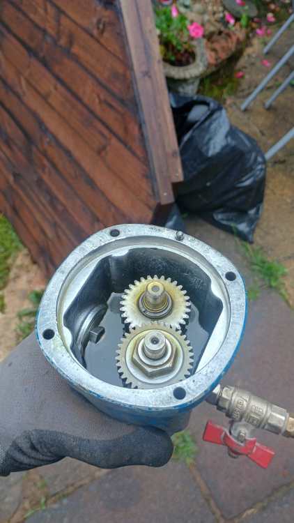IMG-20250720-WA0018.thumb.jpeg.1c25aedb7a209edfc126c9a86b985459.jpeg