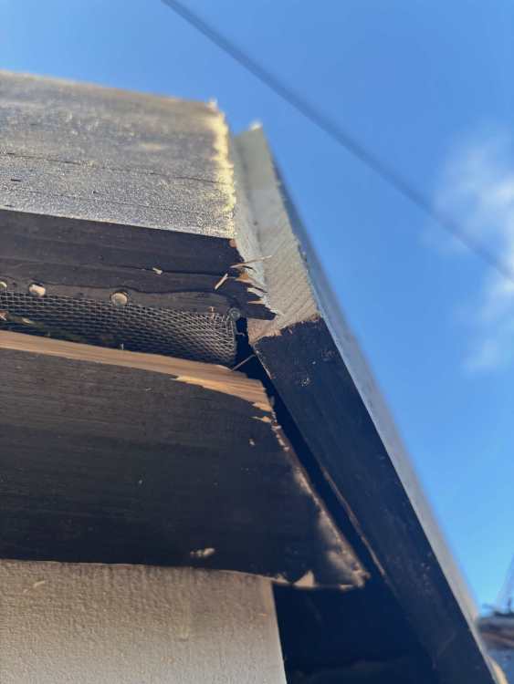 flat-roof-snagging-14.thumb.jpeg.8ec4e95633d4341b0f1490f1dfad1e61.jpeg