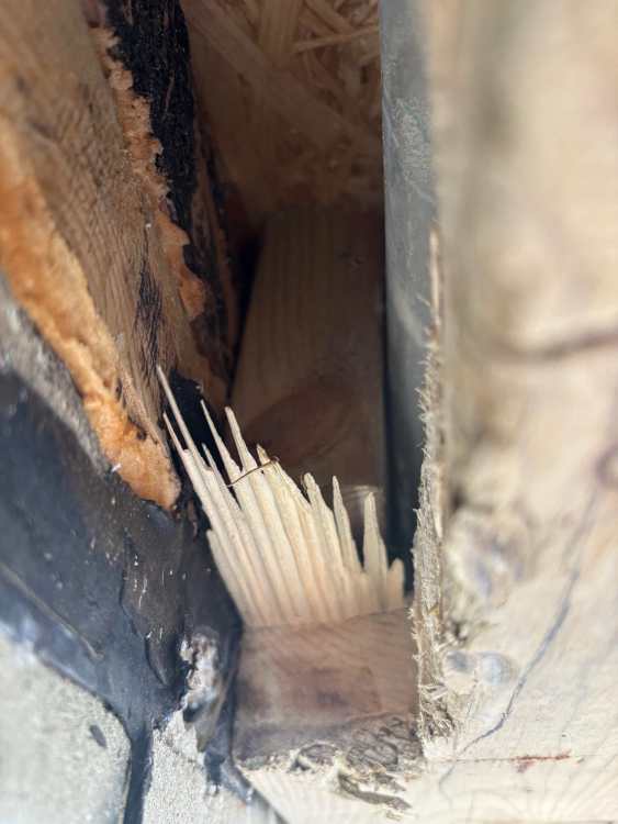 flat-roof-snagging-18.thumb.jpeg.edf8ff6930fff44a4404680e60493873.jpeg