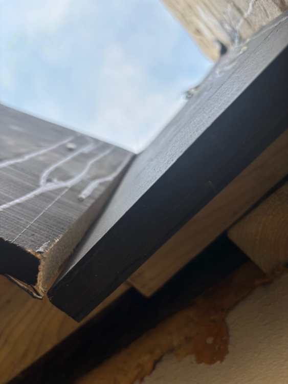 flat-roof-snagging-7.thumb.jpeg.b3f4725d3645a90823924e6e0e3ef916.jpeg