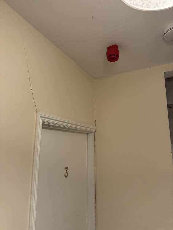 IMG_2234.jpeg
