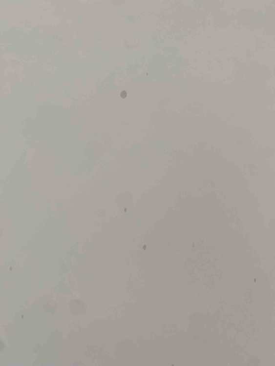 Mist2.jpg