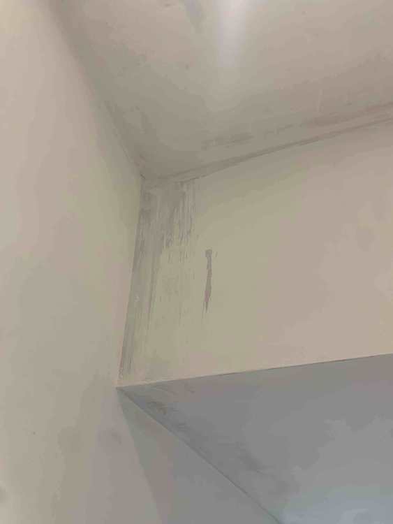 Mist4.jpg