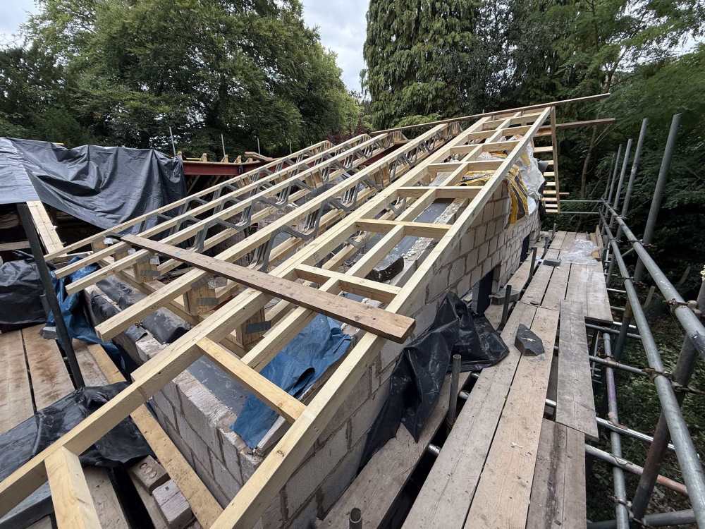 ladder2.thumb.jpg.dbbe89a28103bd1530baa489639cf74a.jpg