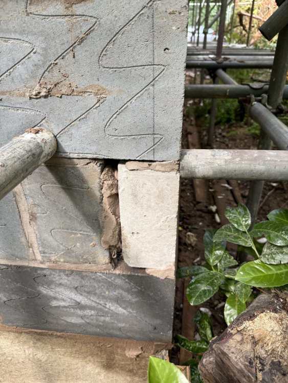 wall6.thumb.jpg.193fd1e0351867ba9fa452bcece3e819.jpg