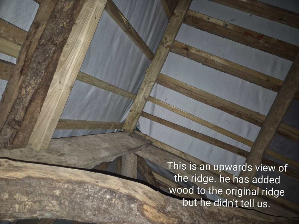 20241229_193110~2.jpg