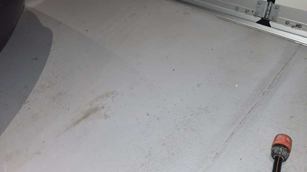 20251019_114543.jpg
