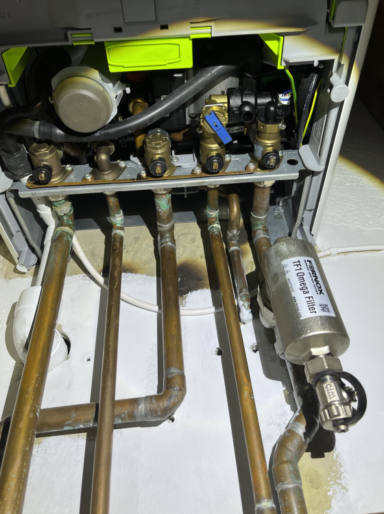 image.thumb.png.fbe7146ade3d74e4203ffe85cdb0e346.png