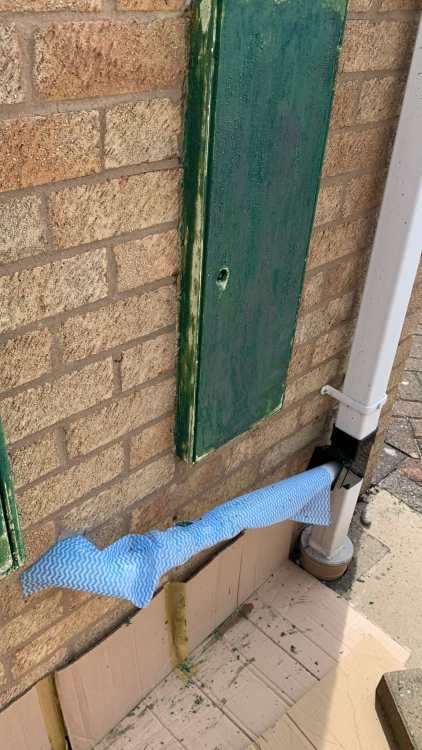 Condensate Drain.jpg