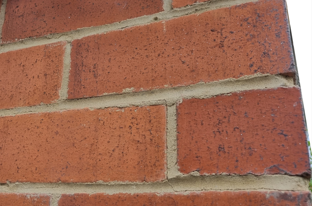 image.thumb.png.f17e3c268a5a1391c0f2b1bb43e7bafd.png