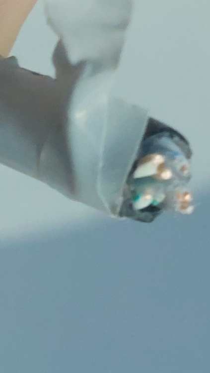 20260801_090814.thumb.jpg.c4fda1df6d3f9525f5e604ec8a87465c.jpg
