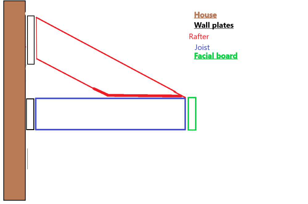 Canopy roof.png